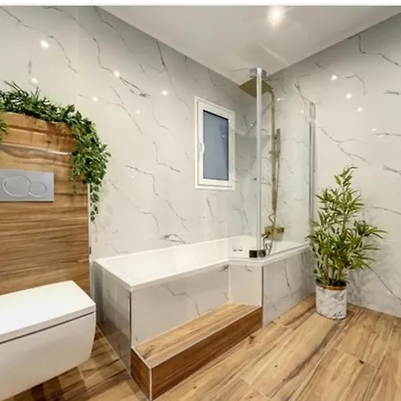 Apartment Palais Des Festivals Cannes